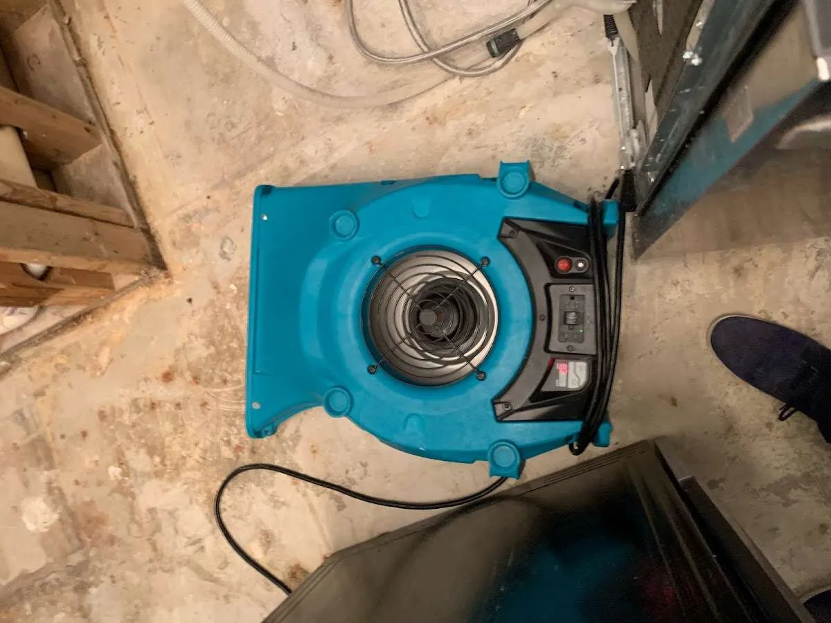Air mover drying equipment for Mold Remediation & Removal in Lampasas